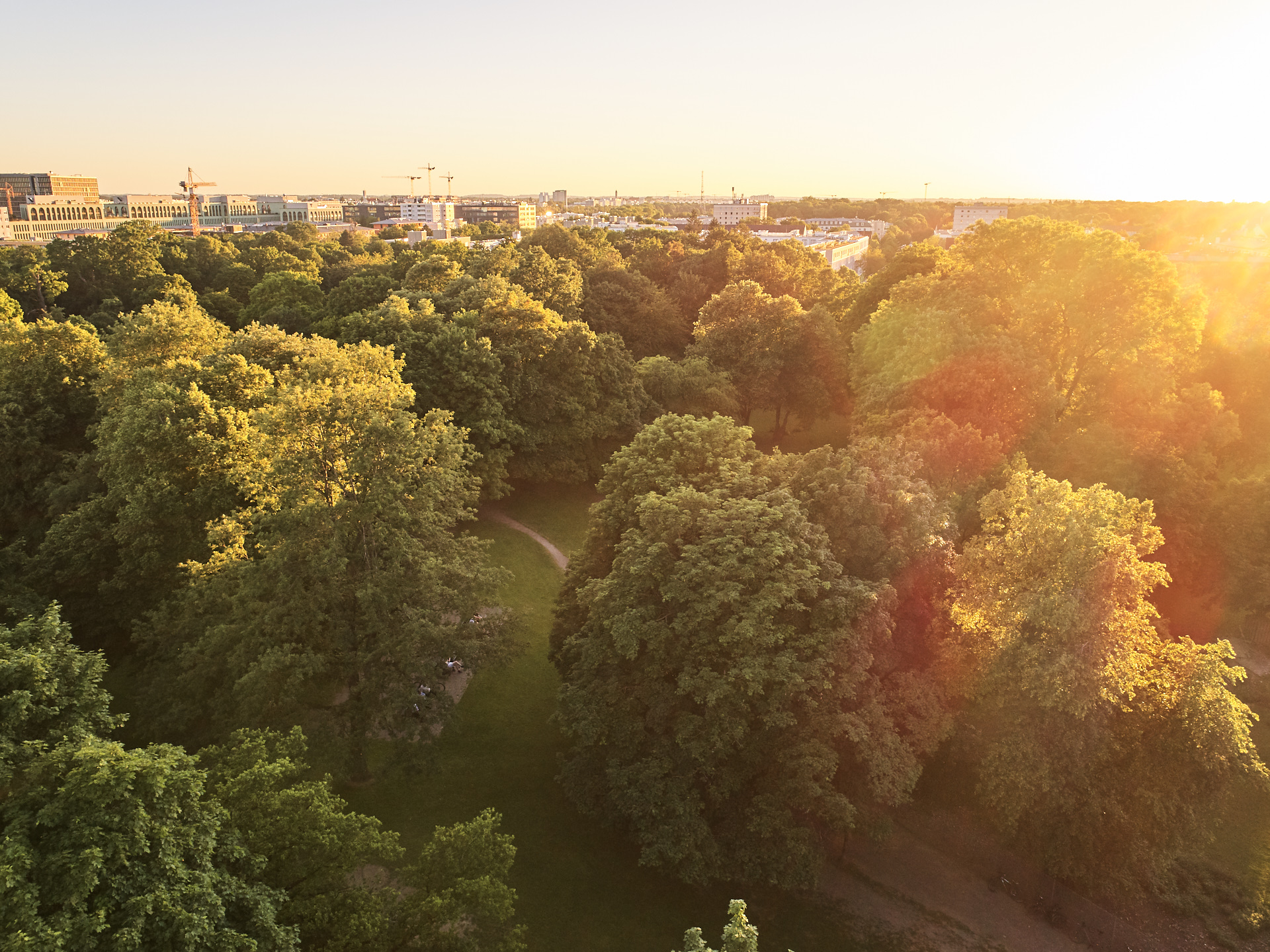 Blick über grüne Baumkronen und München im Abendlicht